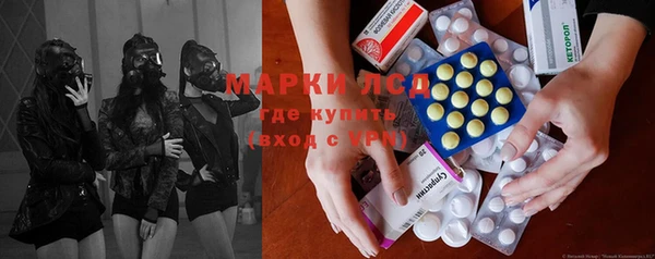 прущие грибы Бородино