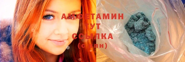 прущие грибы Бородино
