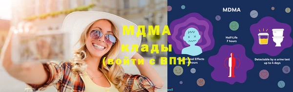 прущие грибы Бородино