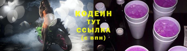 прущие грибы Бородино