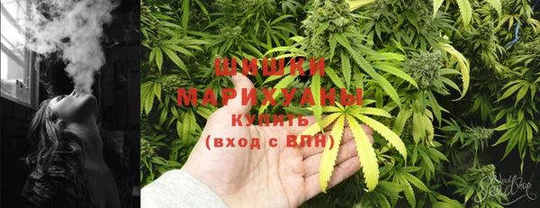 прущие грибы Бородино