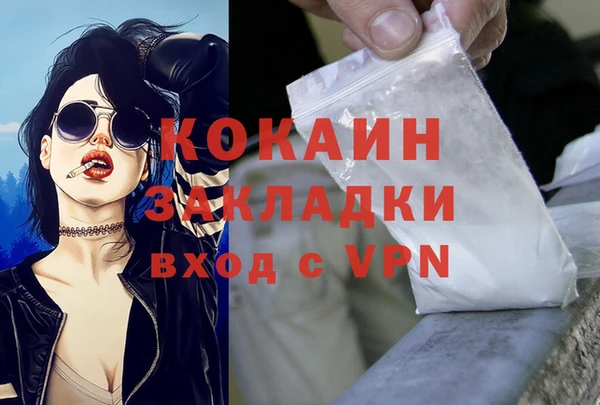 прущие грибы Бородино