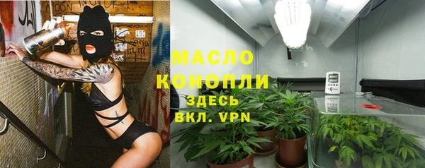 прущие грибы Бородино