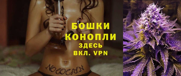 прущие грибы Бородино