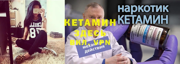прущие грибы Бородино